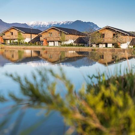 Green Resort Bran Бран Экстерьер фото