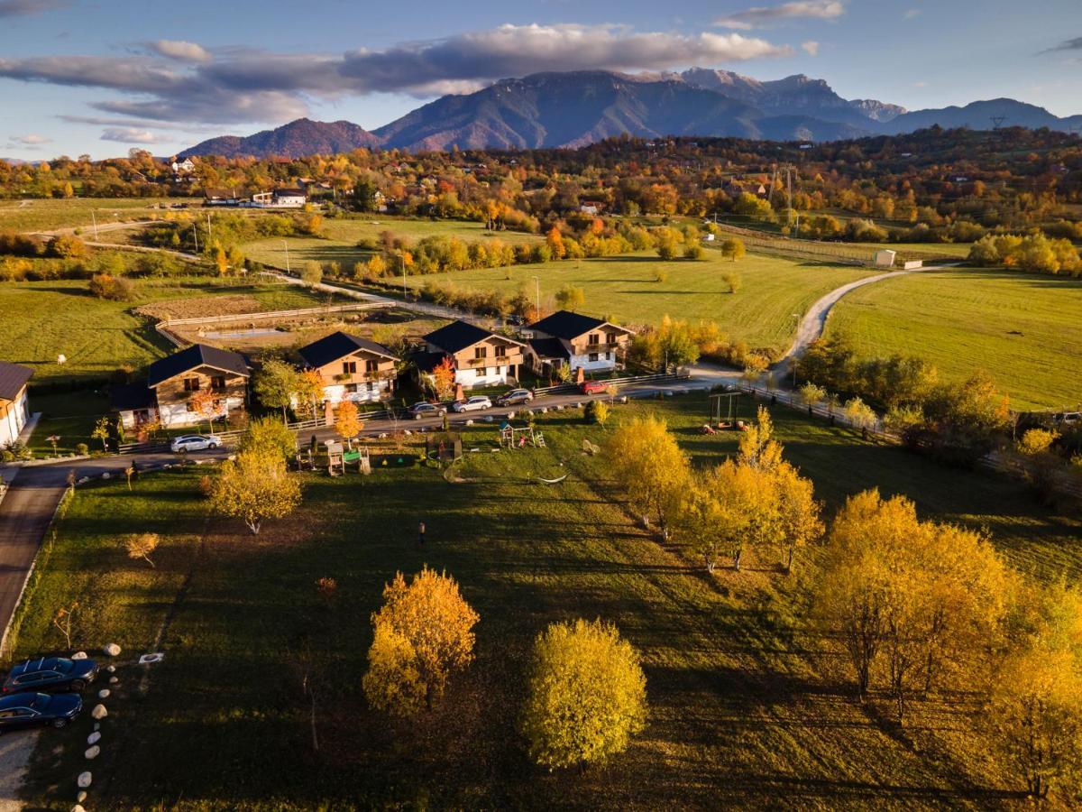 Green Resort Bran Бран Экстерьер фото