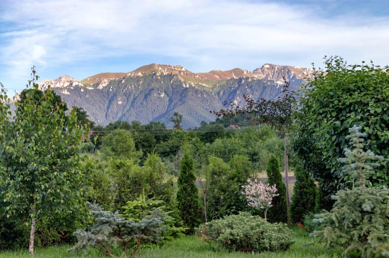 Green Resort Bran Бран Экстерьер фото