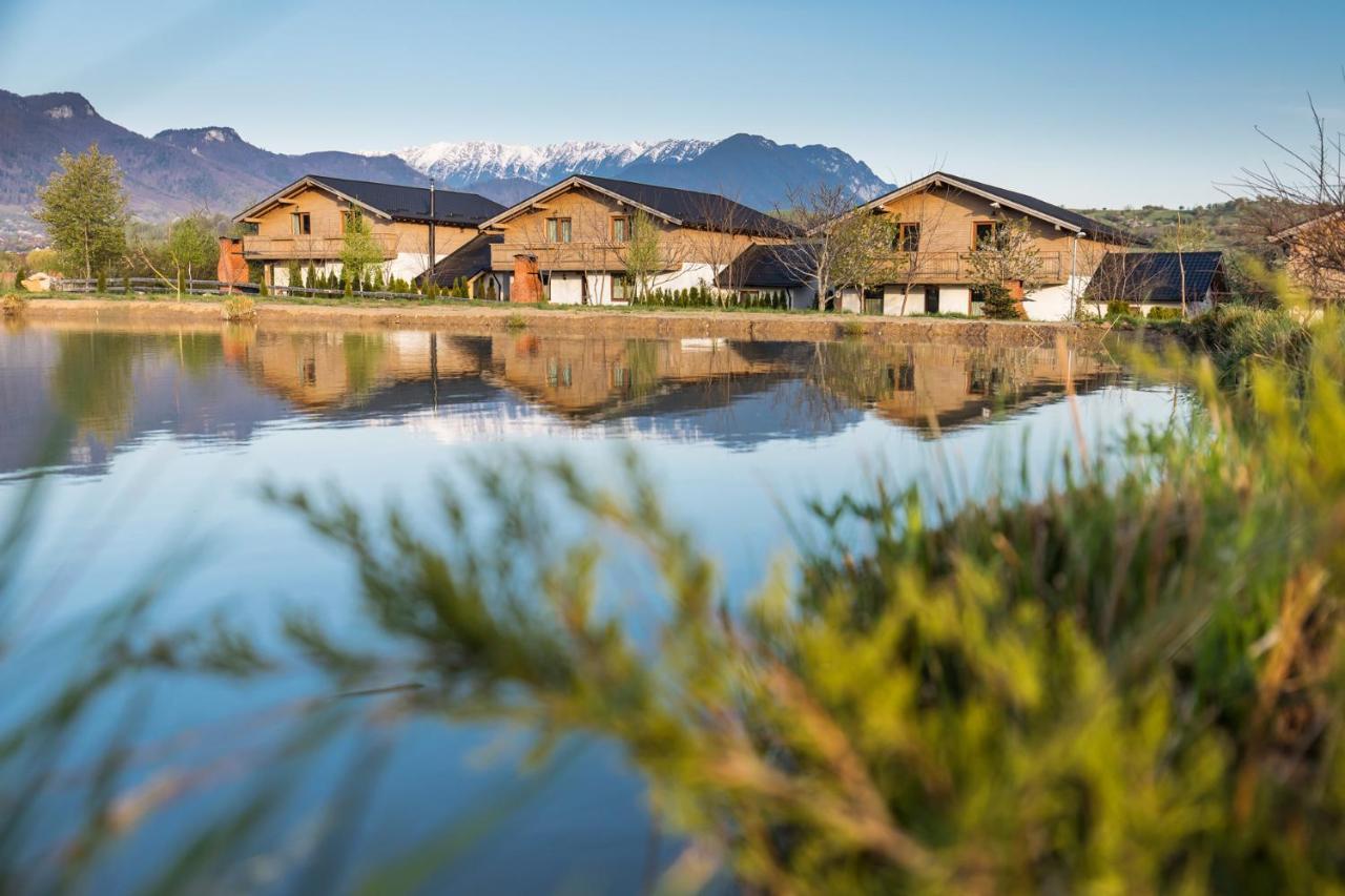Green Resort Bran Бран Экстерьер фото