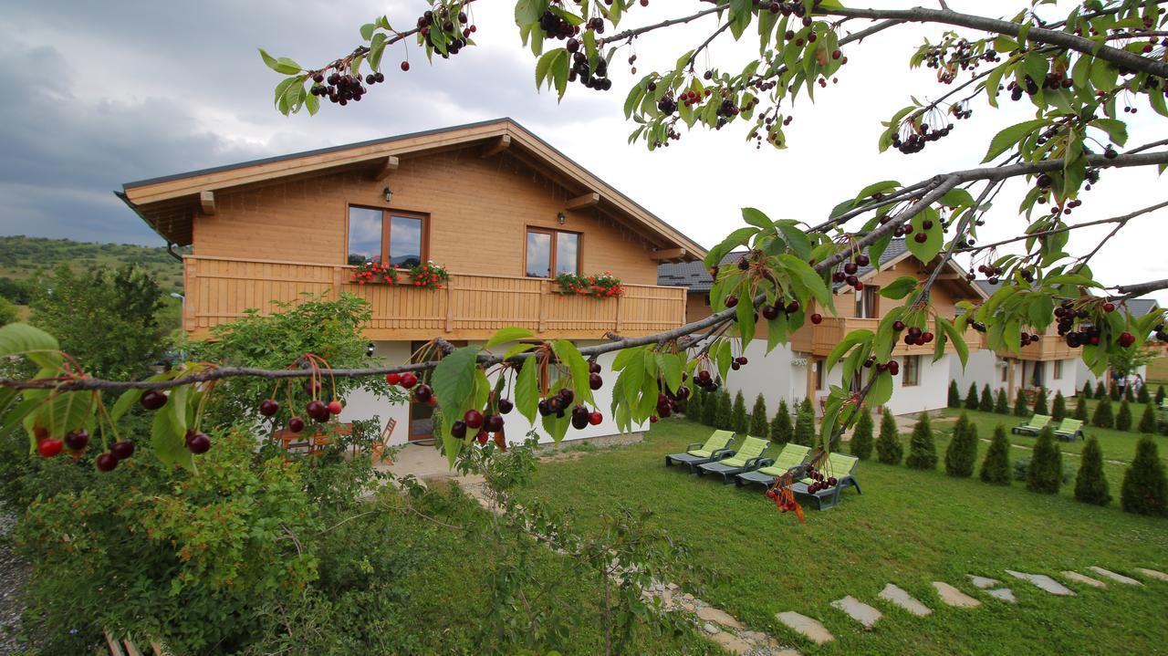 Green Resort Bran Бран Экстерьер фото